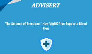 The Science Of Erections How Vigrx Plus Supports Blood Flow